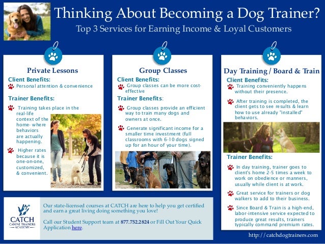 Benefits of being a dog trainer